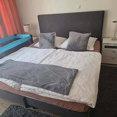 エイゲルスタイン 2*