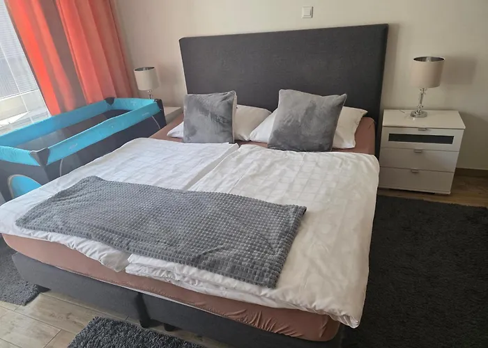 エイゲルスタイン 2*